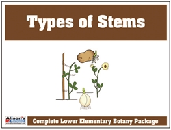 Parts of the Stem Definition Booklet