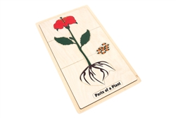 Part of a Plant Puzzle with Nomenclature Cards 3-6 (Printed)