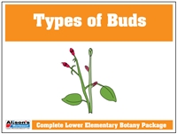 Type of Buds Definition Booklet