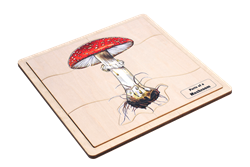 Parts of a Mushroom Puzzle with Nomenclature Cards (3-6)
