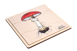 Parts of a Mushroom Puzzle with Nomenclature Cards (6-9)