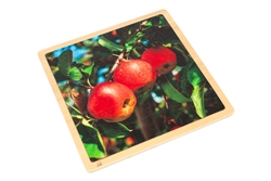 Apples- Jigsaw Puzzle