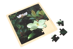 Magnolia - Jigsaw Puzzle