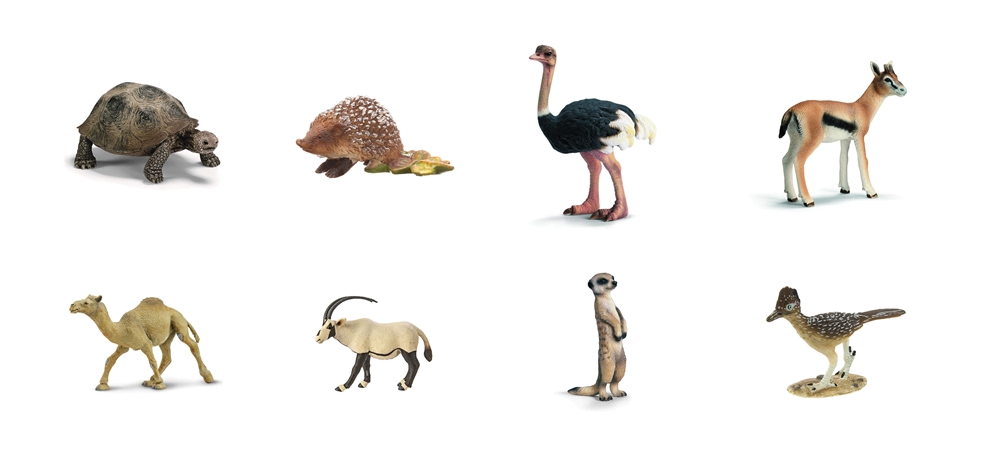 Montessori Materials: Desert Animals