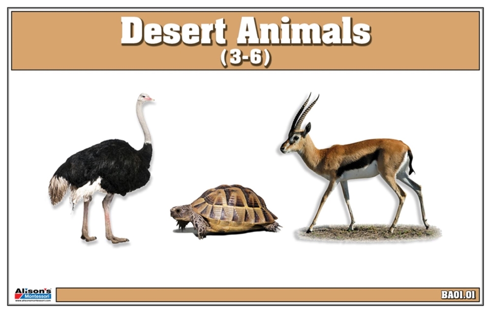 Desert Animals Nomenclature Cards 
