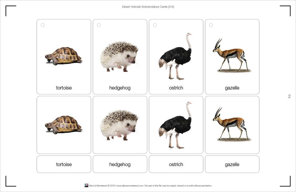 Montessori Materials: Desert Animals Nomenclature Cards (Printed)