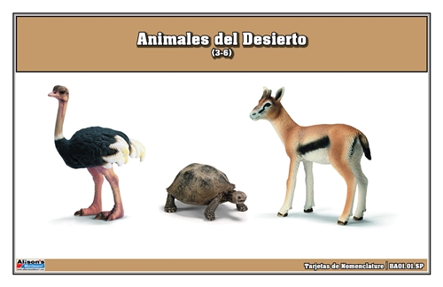 Desert Animals Nomenclature Cards (Spanish)