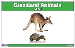 Grassland Animals Nomenclature Cards (Printed)