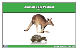 Grassland Animals Nomenclature Cards (Spanish)