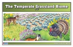 Temperate Grassland Biome Nomenclature Cards (3-6)