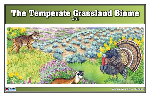 Temperate Grassland Biome Nomenclature Cards (3-6)