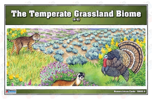 Temperate Grassland Biome Nomenclature Cards (6-9)