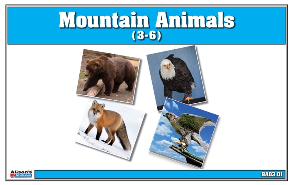  Mountain Animals Nomenclature Cards