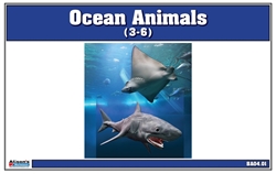Ocean Animals Nomenclature Cards (Printed)