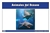 Ocean Animals Nomenclature Cards (Spanish)