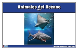 Tarjetas de nomenclatura de animales del océano (Spanish)