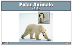 Polar Region Animals Nomenclature Cards (Printed)
