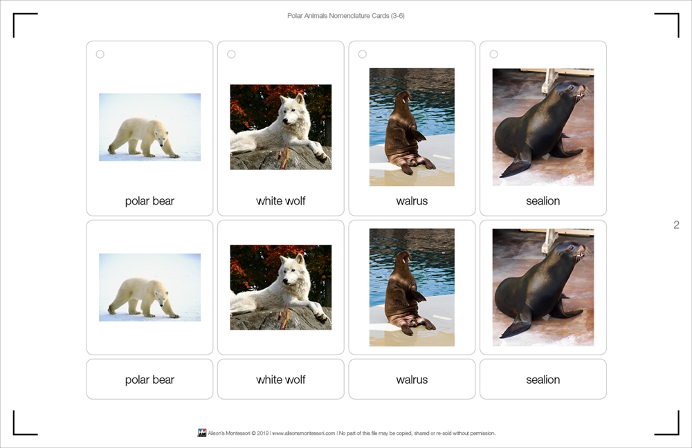 Montessori Materials: Polar Region Animals Nomenclature Cards (Printed)