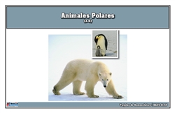 Polar Region Animals Nomenclature Cards (Spanish)