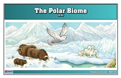 Polar Biome Nomenclature Cards (3-6)