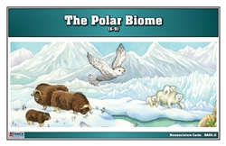 Polar Biome Biome Nomenclature Cards (6-9)
