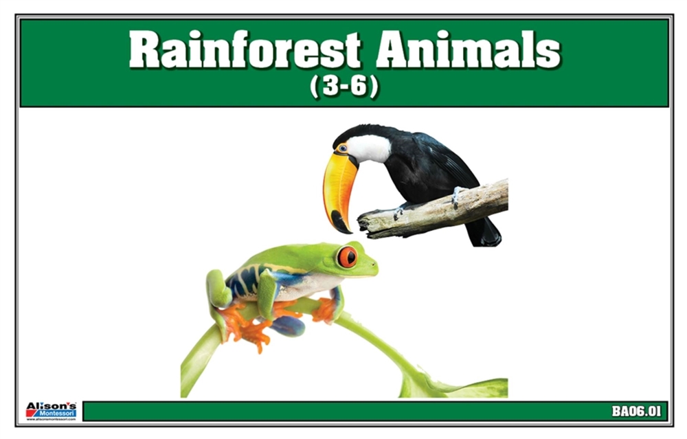 Montessori Materials: Rainforest Animals Nomenclature Cards (Printed)
