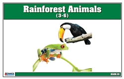 Rainforest Animals Nomenclature Cards (Printed)
