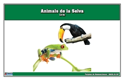 Tarjetas de nomenclatura de animales de la selva tropical (Spanish)