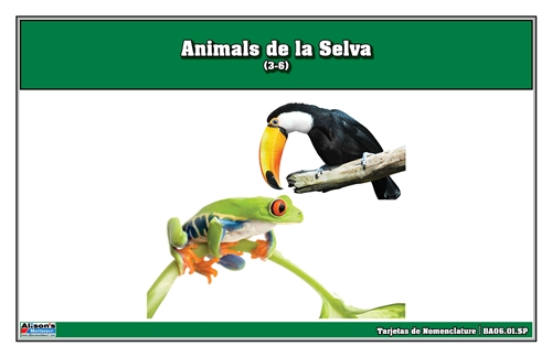 Rainforest Animals Nomenclature Cards (Spanish)