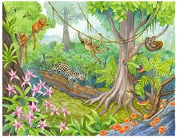 Biome Charts - Tropical Rainforest Biome