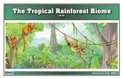 Tropical Rainforest Biome Nomenclature Cards (6-9)