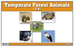 Temperate Forest Animals Nomenclature Cards (Printed)