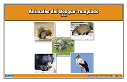Temperate Forest Animals Nomenclature Cards (Spanish)