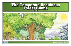 Temperate Deciduous Forest Biome Nomenclature Cards (3-6)