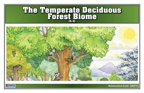 Temperate Deciduous Forest Biome Nomenclature Cards (6-9)