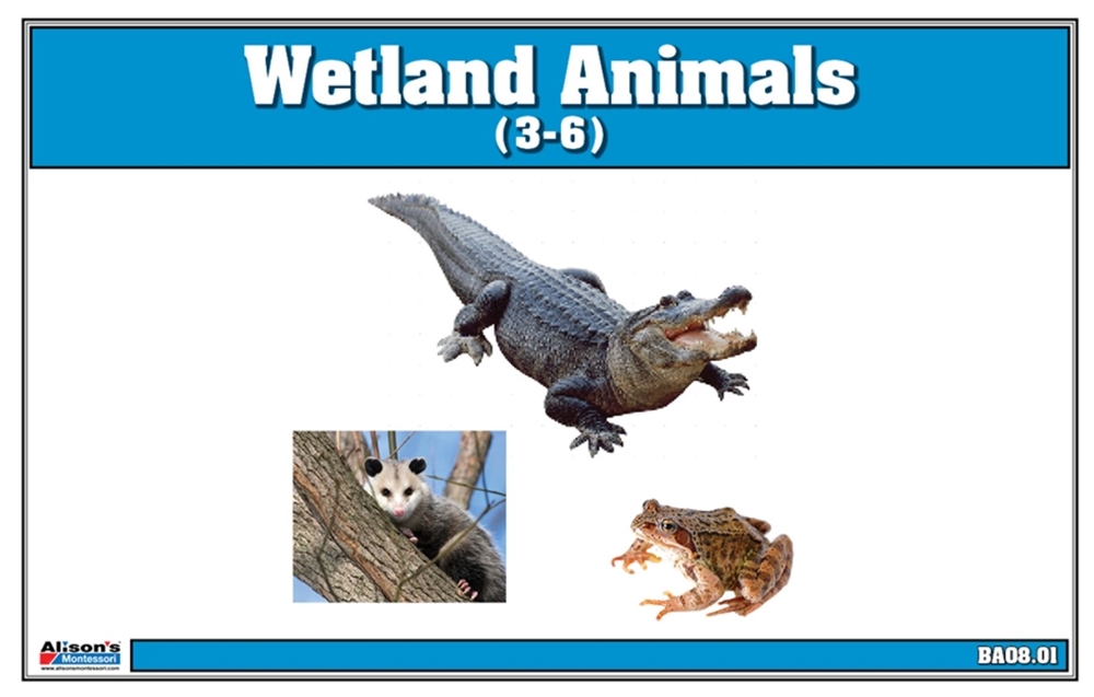 Montessori Materials: Wetlands Animals Nomenclature Cards (Printed)