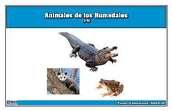 Tarjetas de nomenclatura de animales de humedales (Spanish)