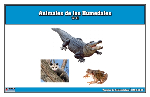 Wetlands Animals Nomenclature Cards (Spanish)