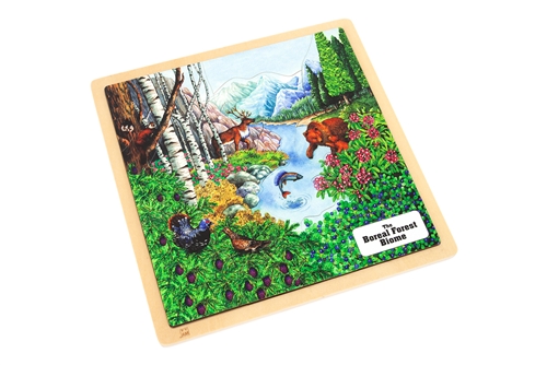Boreal Forest Biome Puzzle