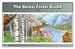 Boreal Forest Biome Nomenclature Cards (3-6)