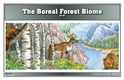 Boreal Forest Biome Nomenclature Cards (6-9)