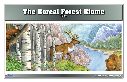 Boreal Forest Biome Nomenclature Cards (6-9)