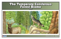 Temperate Coniferous Forest Biome Nomenclature Cards (3-6)