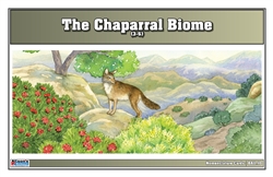 Chaparral Biome Nomenclature Cards (3-6)