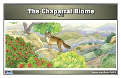 Chaparral Biome Nomenclature Cards (6-9)