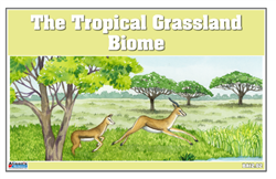 Biome Charts - Tropical Grassland Biome