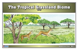 Tropical Grassland Nomenclature Cards (6-9)