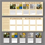 Montessori Materials: Kingdom Charts/ Fungus