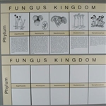 Montessori Materials: Kingdom Charts/ Fungus (Older Version)