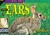 Animal Ears (Look Once, Look Again Science Series) [Paperback]